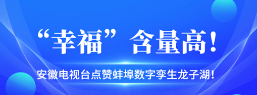 ?“幸?！焙扛?，安徽電視臺點贊蚌埠數(shù)字孿生龍子湖！